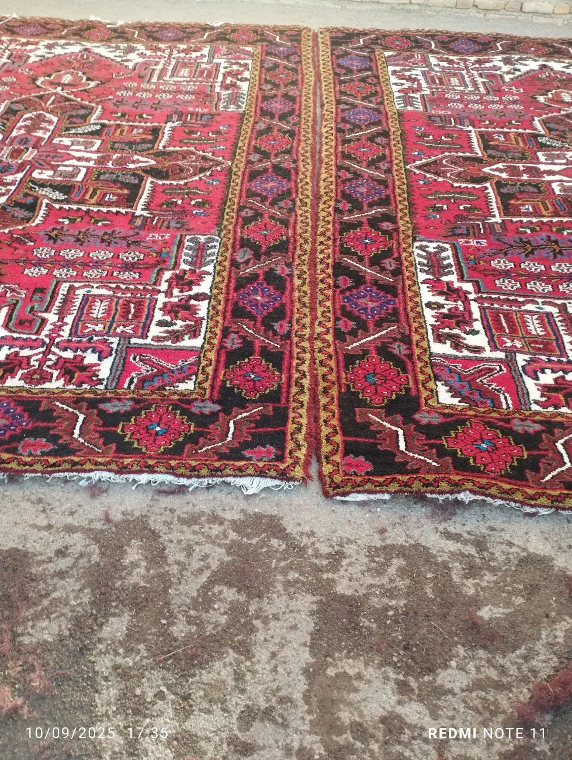 یک جفت فرش دستباف بافنده خودمان|فرش|خواجه, |دیوار