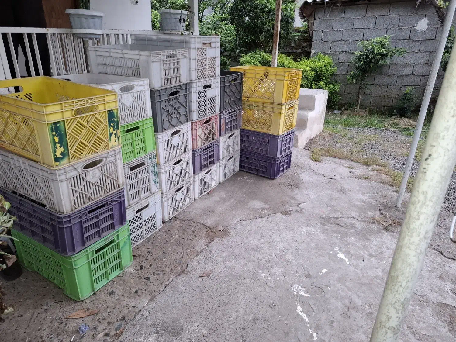 سبد|ابزارآلات|لشت نشا, |دیوار