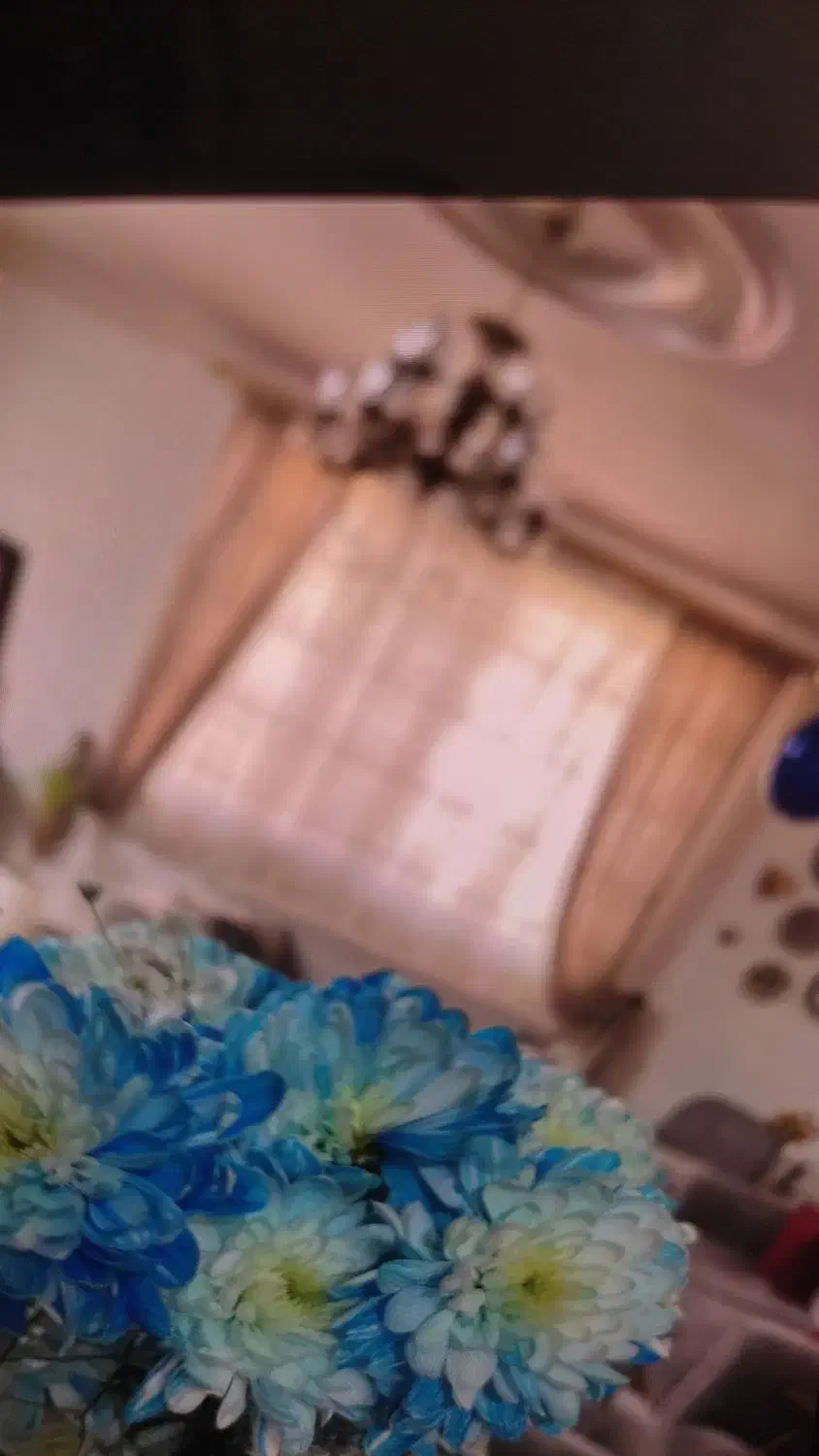 پرده|پرده، رانر، رومیزی|ساوه, |دیوار