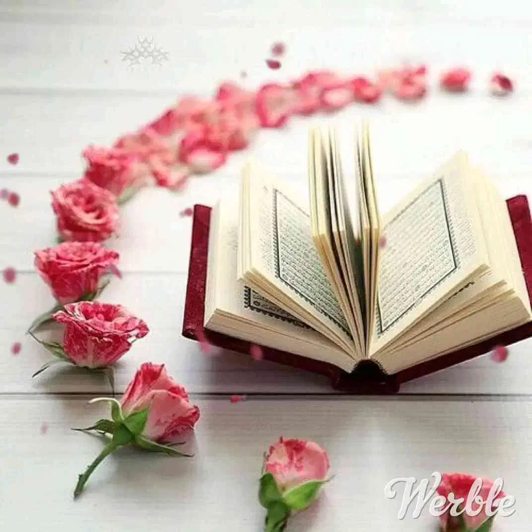 ختم قرآن و دیگر ختم های مجرب برای حاجات|خدمات پذیرایی، مراسم|قم, شاه ابراهیم|دیوار