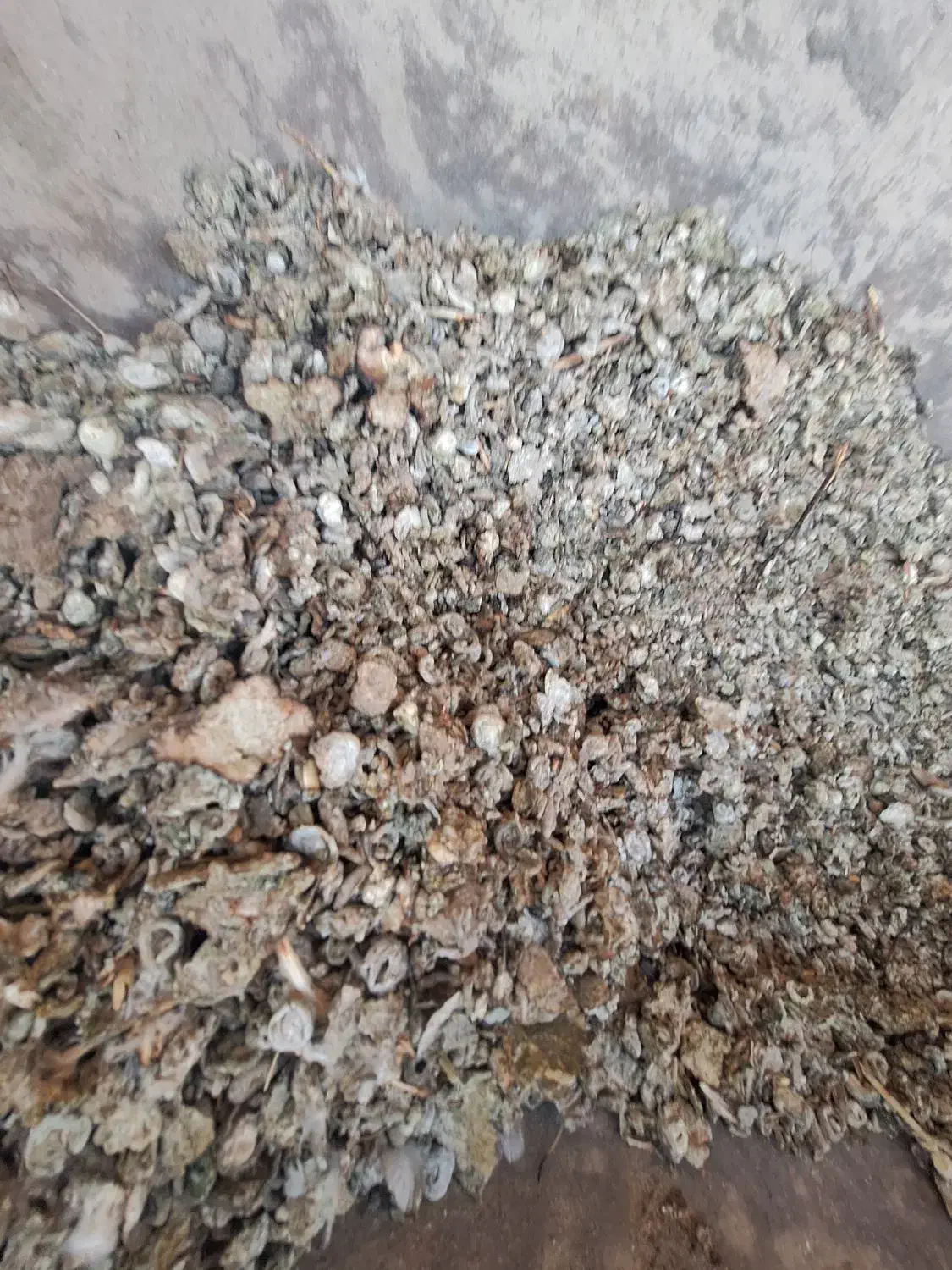 کود‌..زل‌کبوتر|خدمات باغبانی و درختکاری|پیر بکران, |دیوار