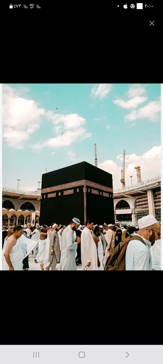 فروش فیش حج تمتع|تور و چارتر|رودان, |دیوار