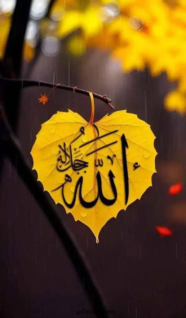 آینه بینی ، و آینده گویی|خدمات پذیرایی، مراسم|تبریز, |دیوار