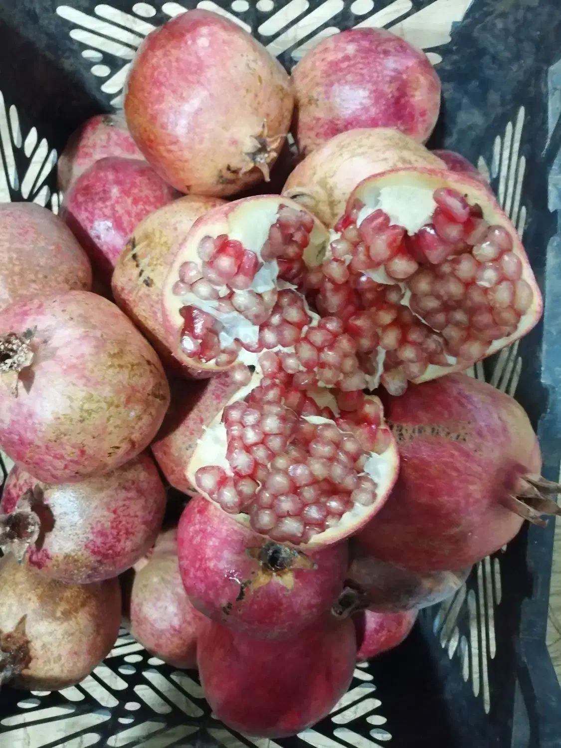 انار|خوردنی و آشامیدنی|سبزوار, پیروزی|دیوار