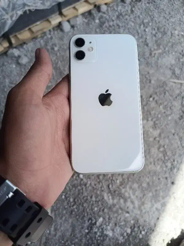 iphone 11 normal|موبایل|مشهد, جاهد شهر|دیوار