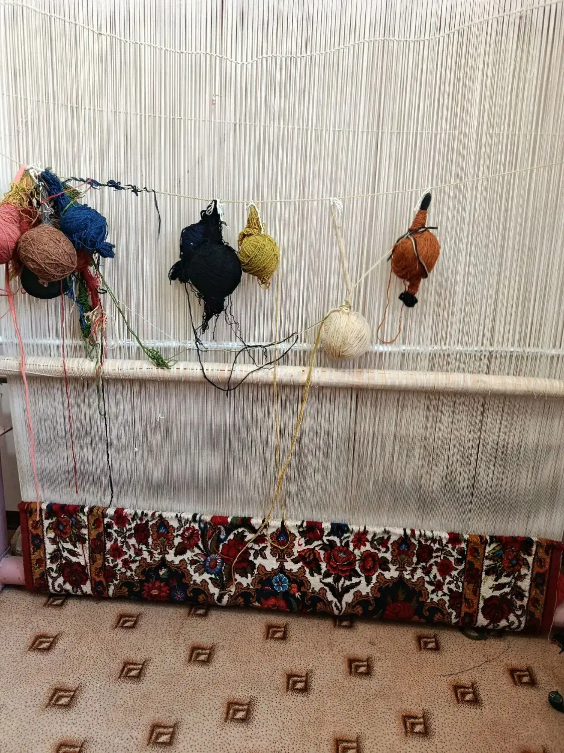 قالی 800تایی|فرش|شهرکرد, |دیوار