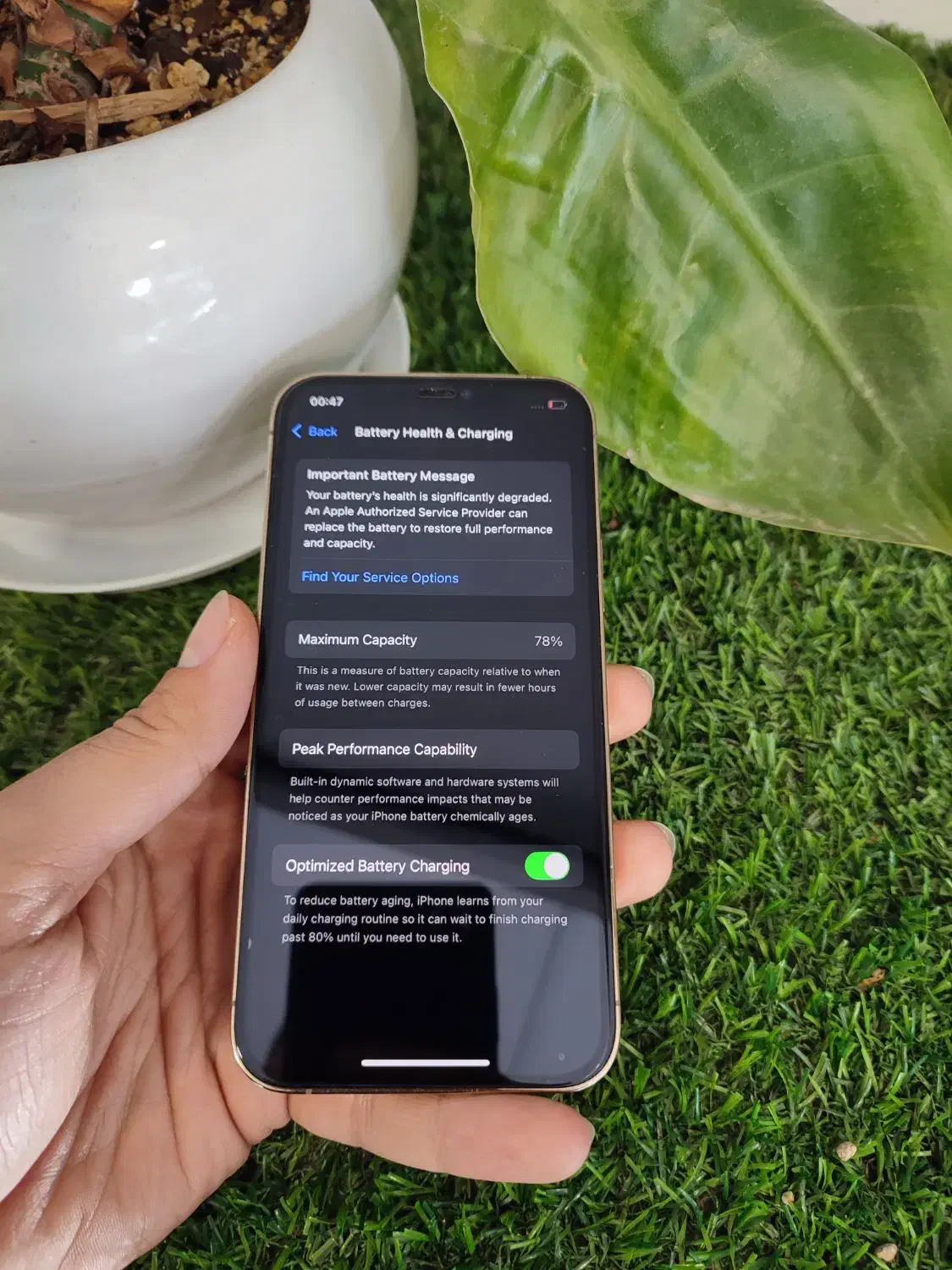 iPhone 12 pro|موبایل|تربت جام, نظامی|دیوار