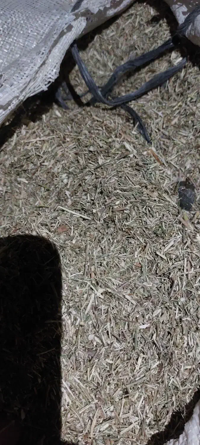 خارشتر|عمدهفروشی|گنبد کاووس, |دیوار