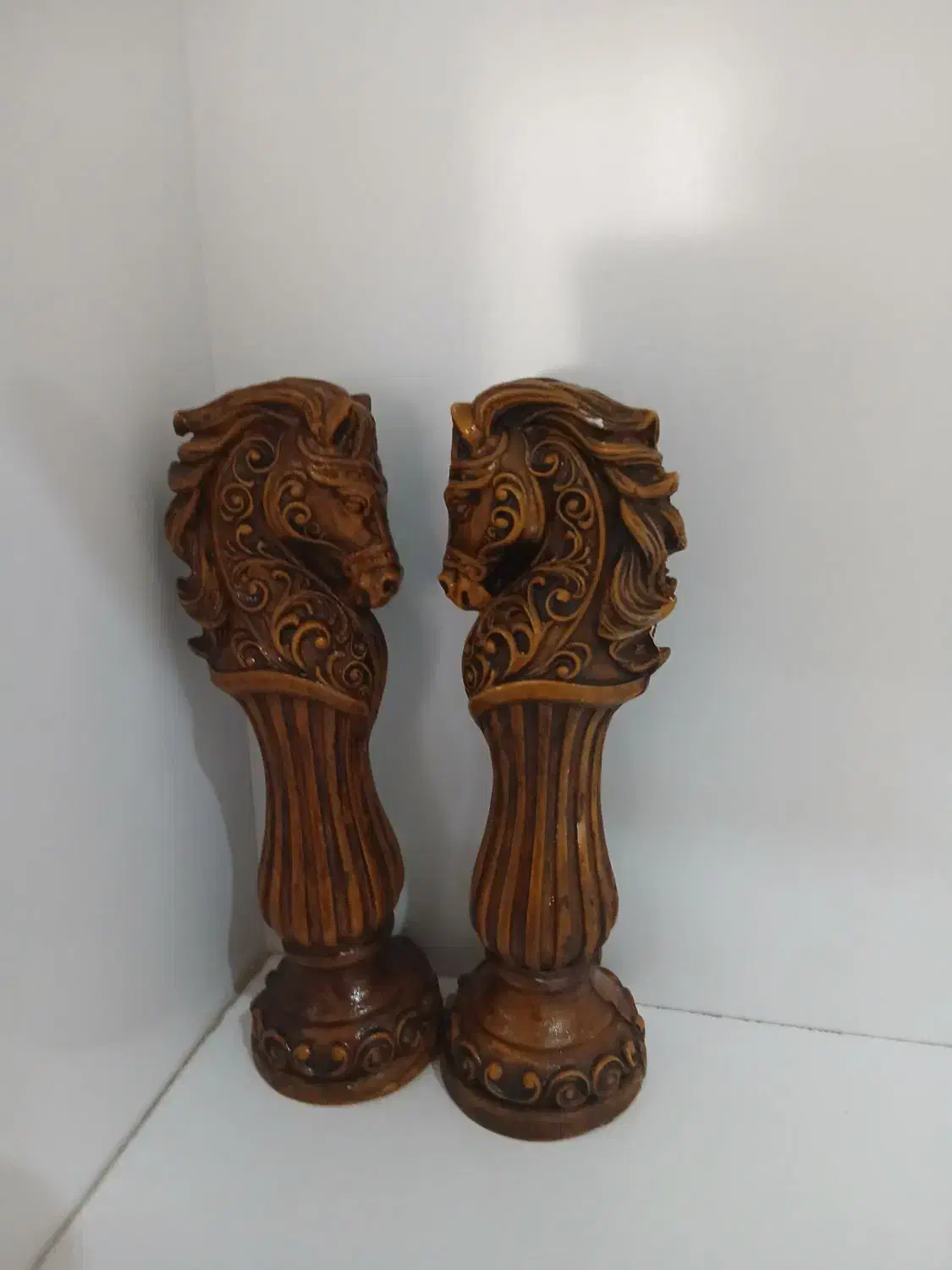 تنگ|ماهی|یزد, |دیوار