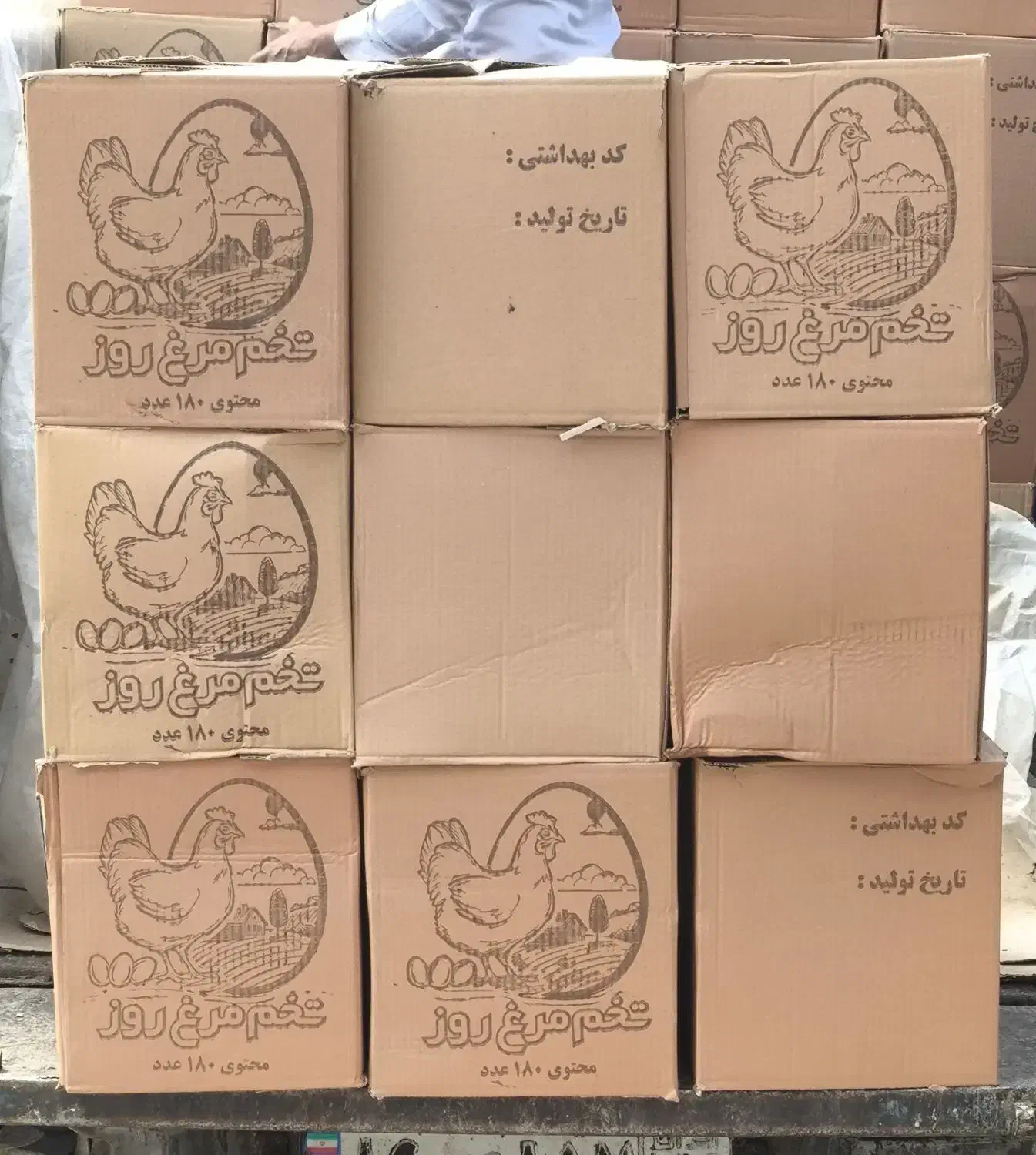 پخش تخم مرغ و خرما|عمده‌فروشی|مشهد, آزادشهر|دیوار