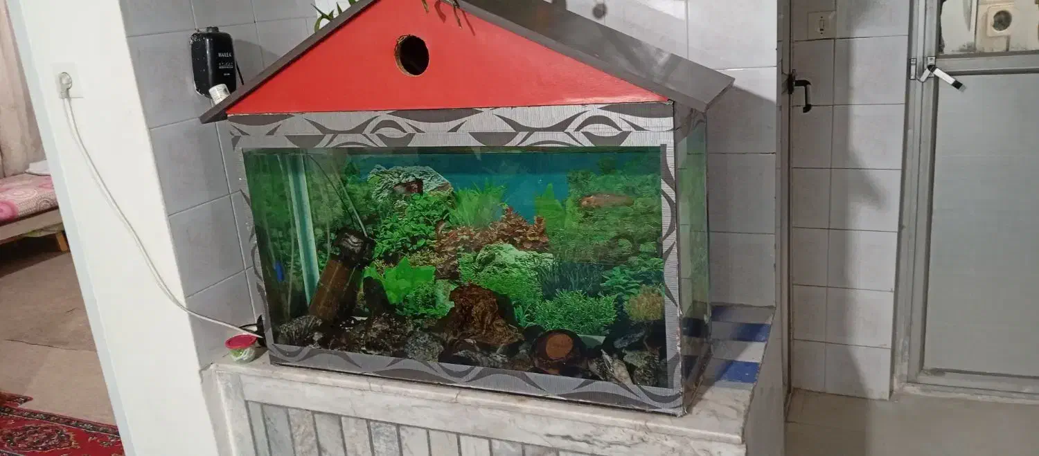 آکواریوم با تمام تجهیزات|ماهی|سبزوار, پاسداران|دیوار