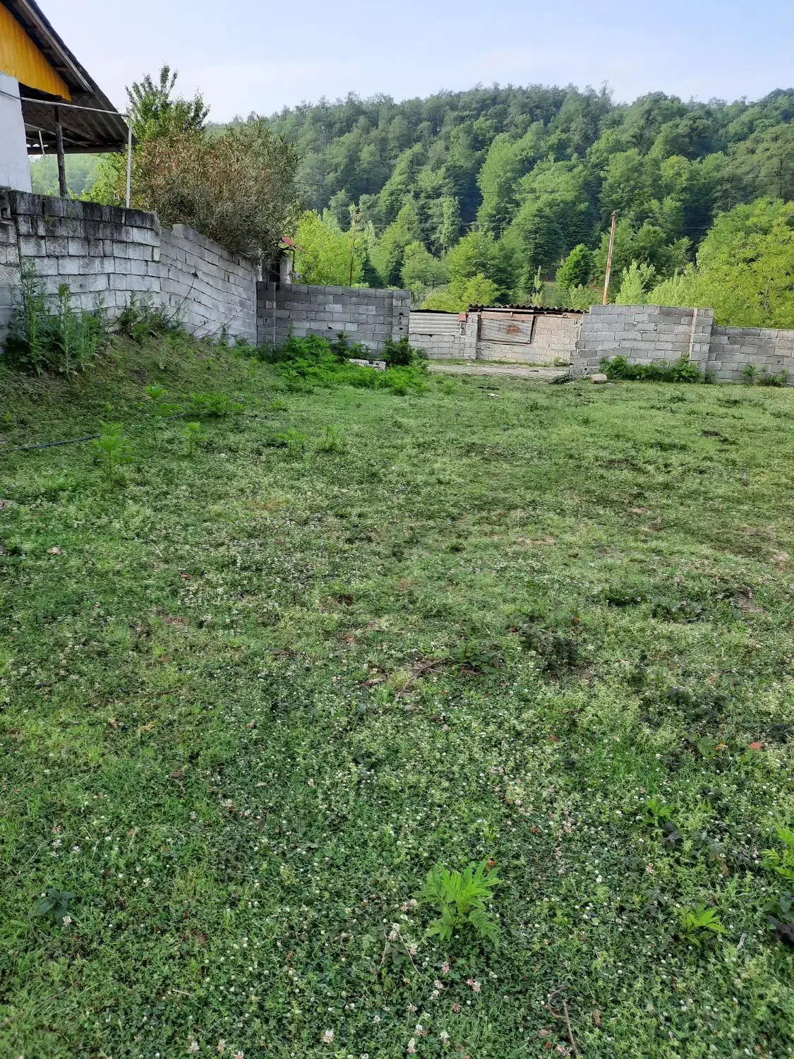 زمینبه مساحت ۴۱۰متر|فروش زمین و ملک کلنگی|آلاشت, |دیوار