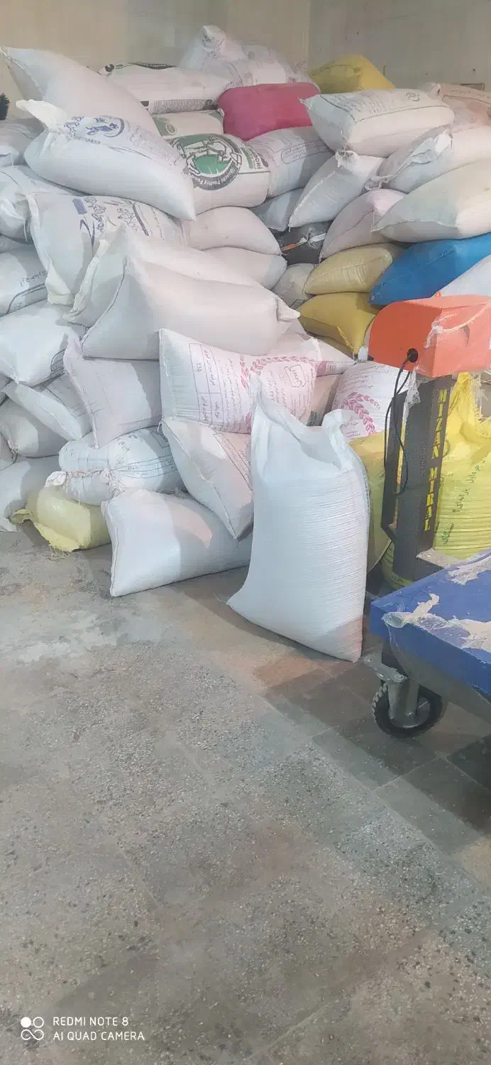 خریدو فروش جو|خدمات باغبانی و درختکاری|خرم‌آباد, |دیوار