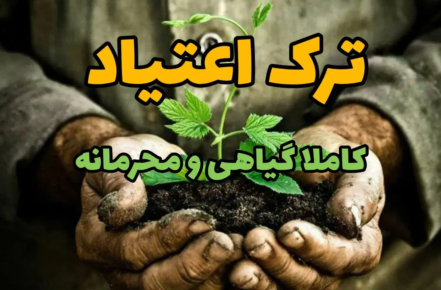 معتبرترین کلینیک تر.ک اعتیا'د ایران|خدمات آرایشگری و زیبایی|بوشهر, |دیوار