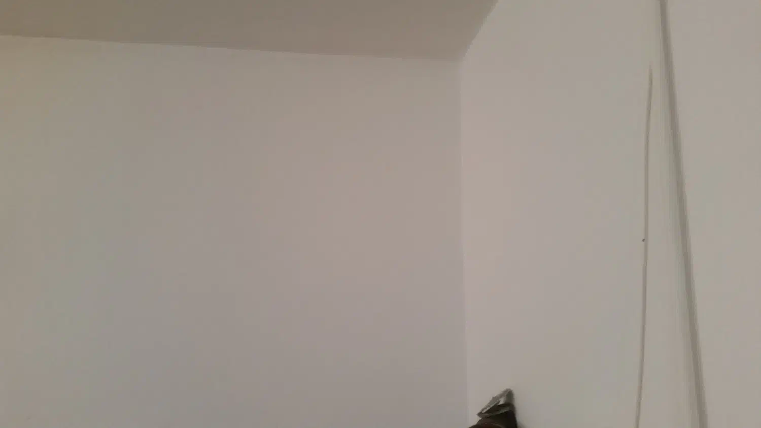 مغازه اجاره ای|اجارهٔ مغازه و غرفه|قائن, |دیوار