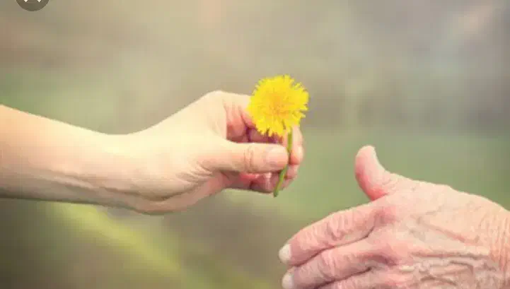 مهر‌ با نی|کتاب و مجله|کرج, ساسانی (قلمستان)|دیوار