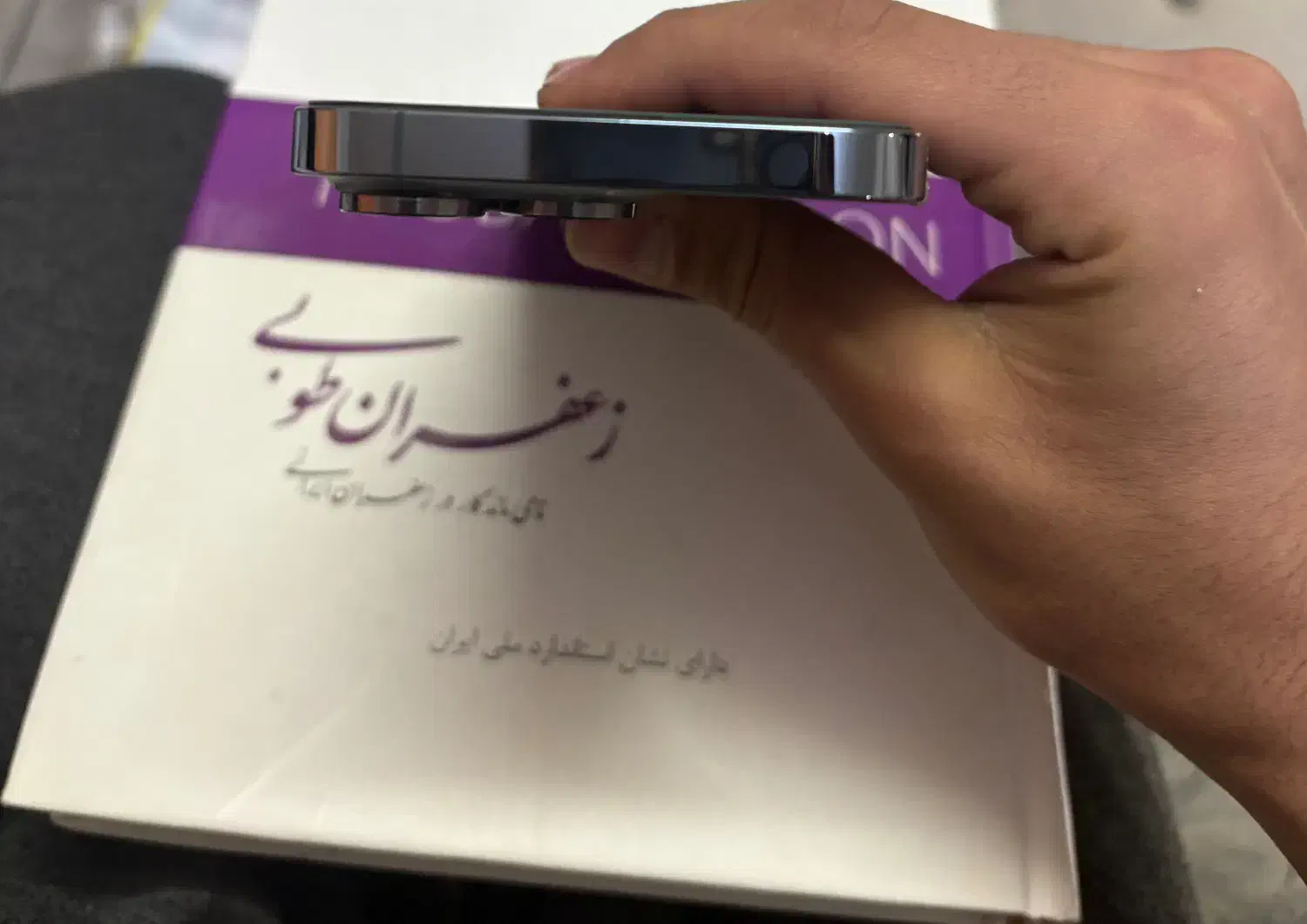 ۱۳ پرو ۲۵۶ch|موبایل|تربت‌حیدریه, منصوریه|دیوار