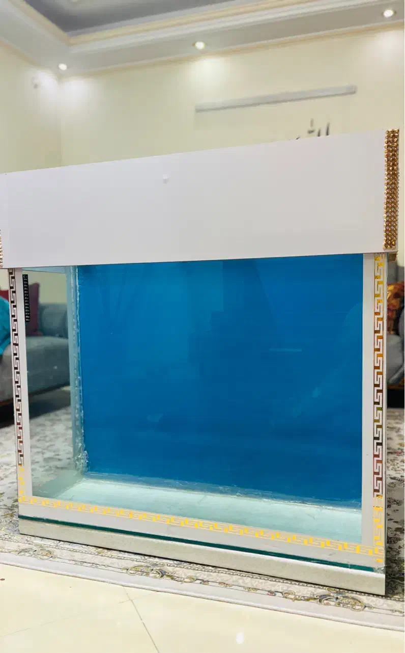 آکواریوم|ماهی|تهران, مشیریه|دیوار