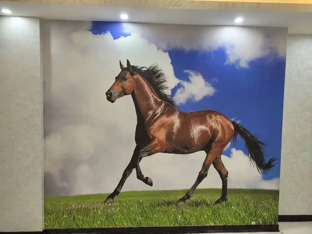 انبار کاغذدیواری|خدمات پیشه و مهارت|اهواز, کیانپارس |دیوار