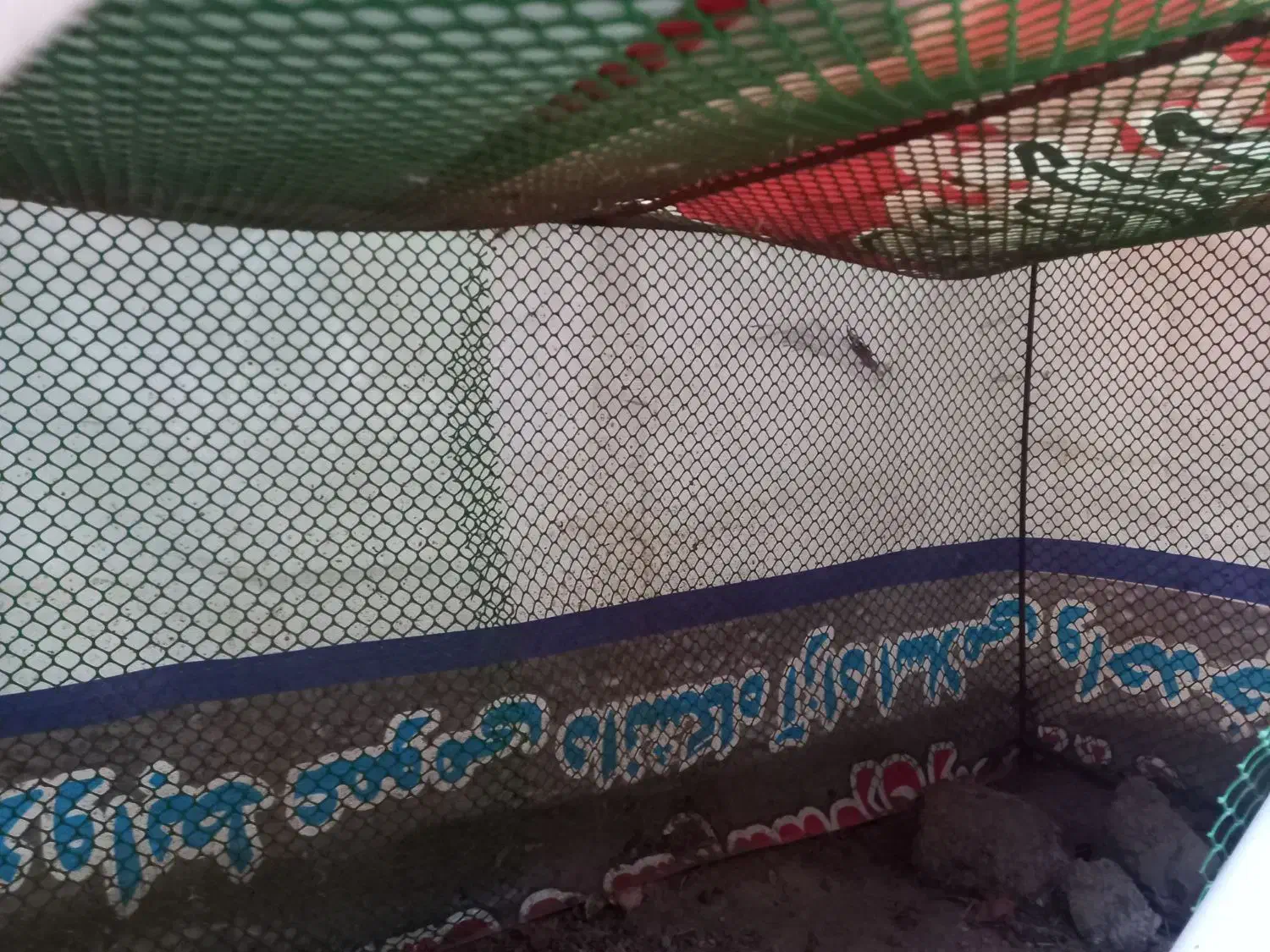 قفس بزرگ|لوازم جانبی حیوانات|خوی, |دیوار