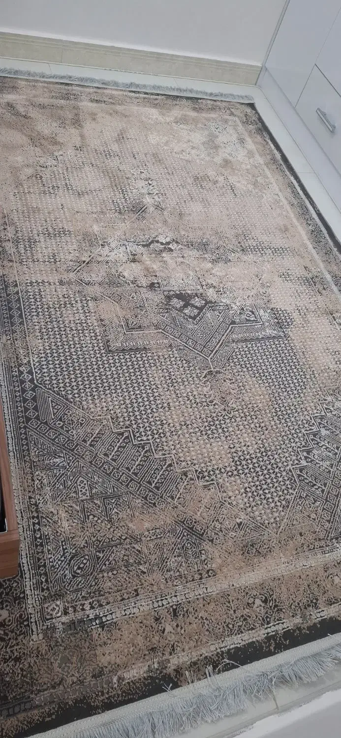 فرش نو  ۴ متری|فرش|رشت, نظری|دیوار