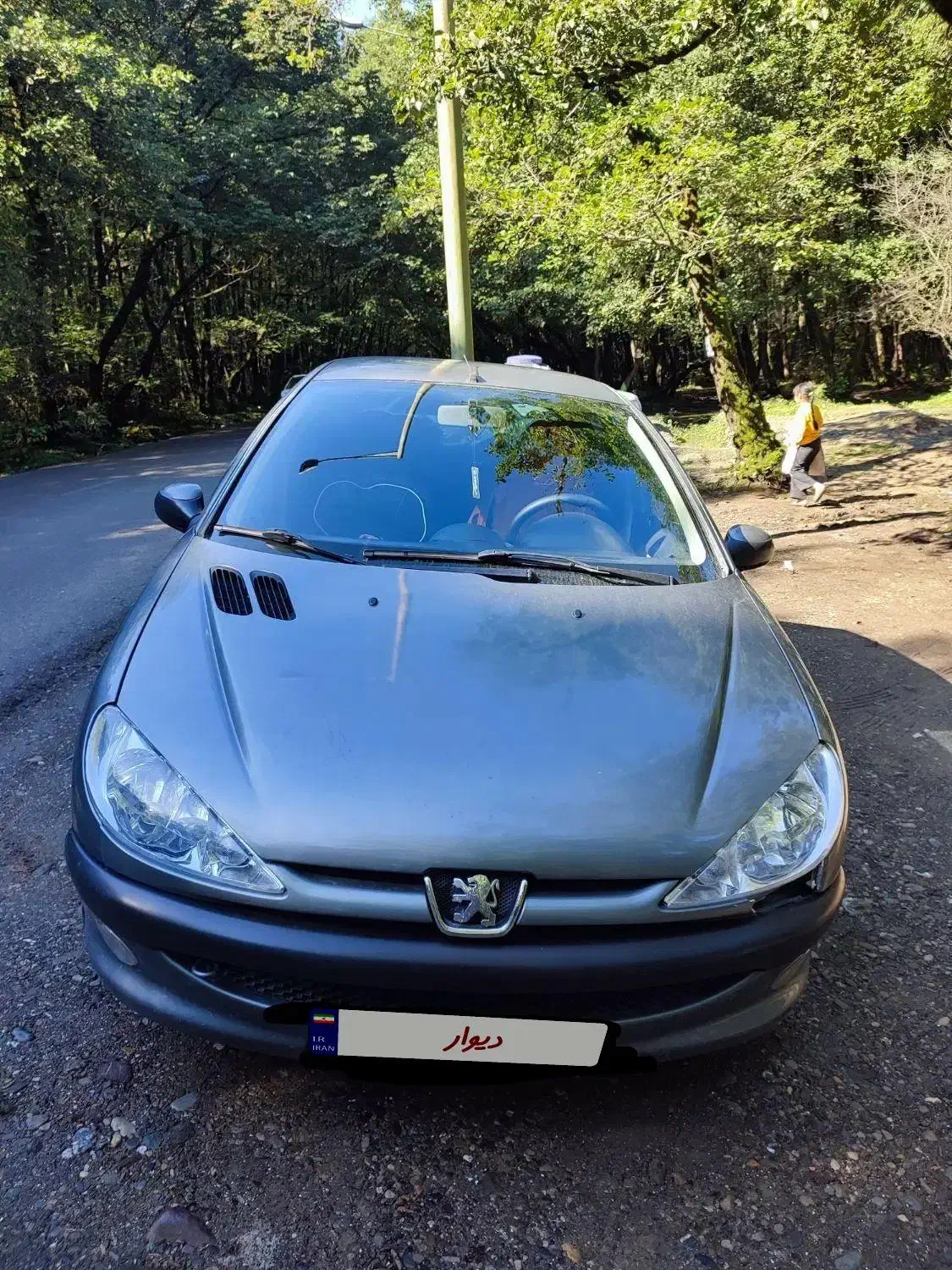 پژو 206|خودرو سواری و وانت|اصفهان, براآن شمالی|دیوار