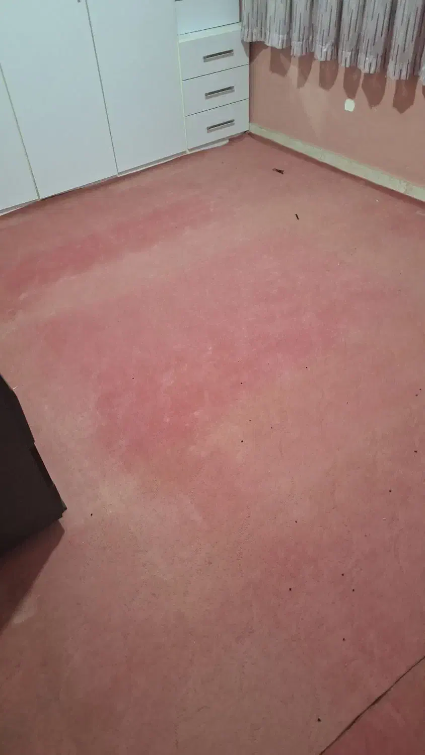 موکت کار کرده|موکت|اردبیل, |دیوار