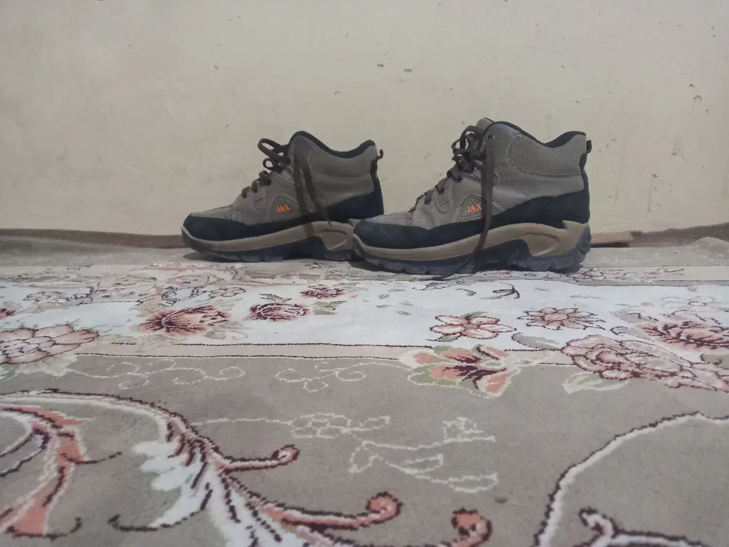 کفش کوه نوردی|کیف، کفش، کمربند|اصفهان, باغ فردوس|دیوار