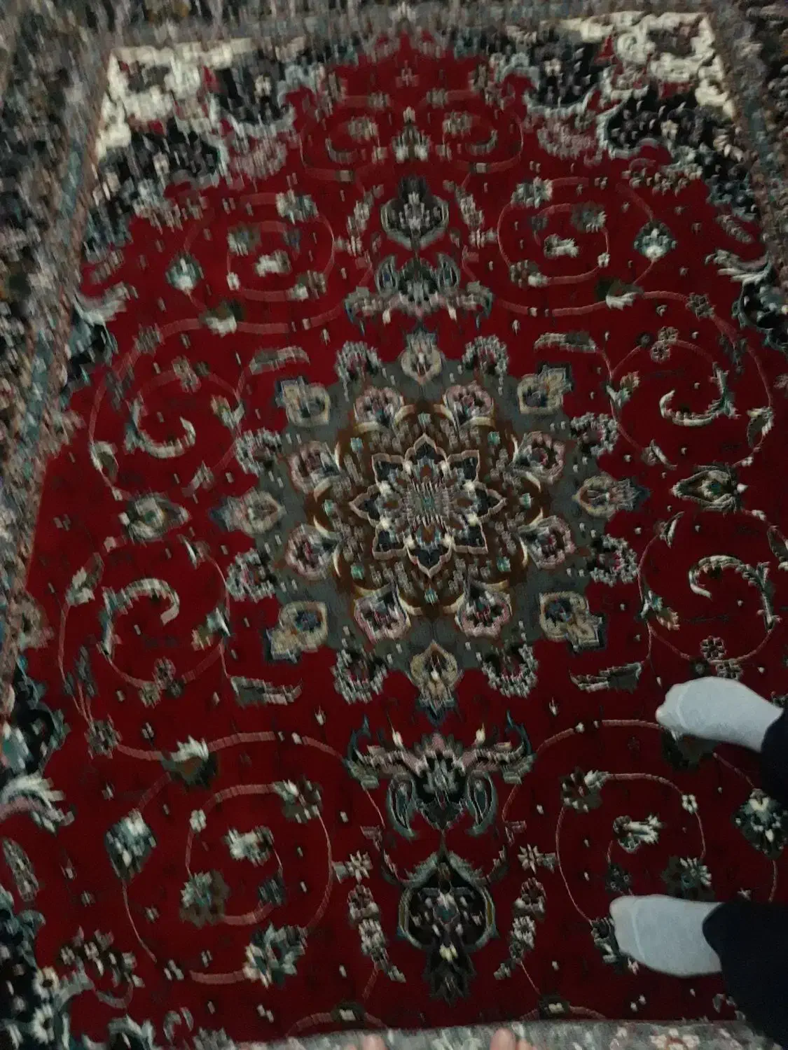 فرش ۶ متری دو عدد جفت در حد نو|فرش|کرمانشاه, |دیوار