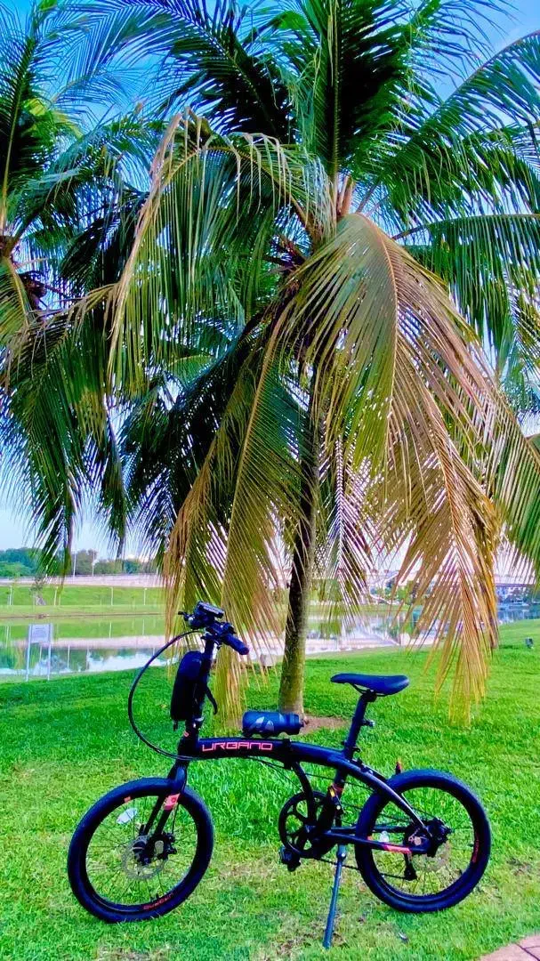 دوچرخه تاشو تایوانی سبک با تجهیزات و کاور رودوشی|دوچرخه، اسکیت، اسکوتر|تهران, جنت‌آباد مرکزی|دیوار