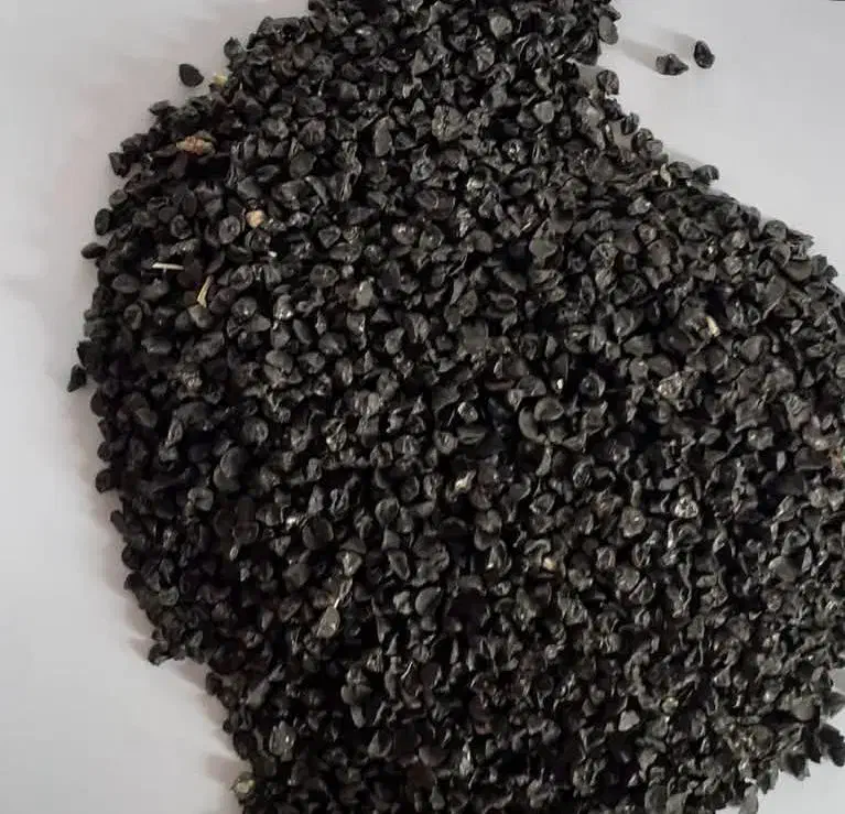 بذر پیاز|خدمات باغبانی و درختکاری|بجنورد, |دیوار