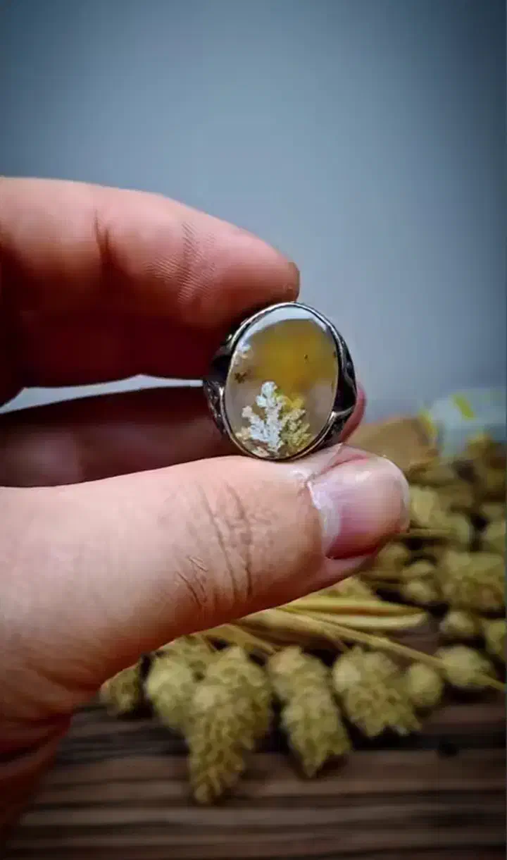 زمینه لیمویی انگشتر شجر|جواهرات|اصفهان, کشاورزی|دیوار