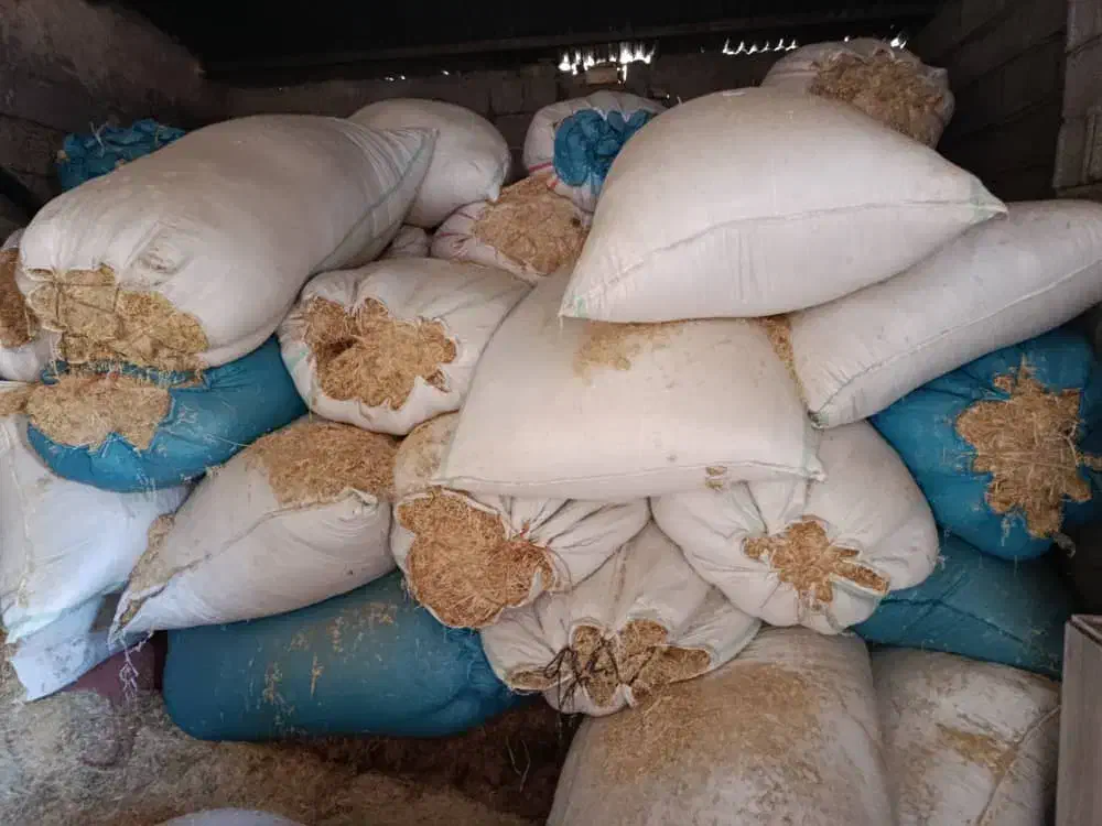 کاه|لوازم جانبی حیوانات|قزوین, |دیوار