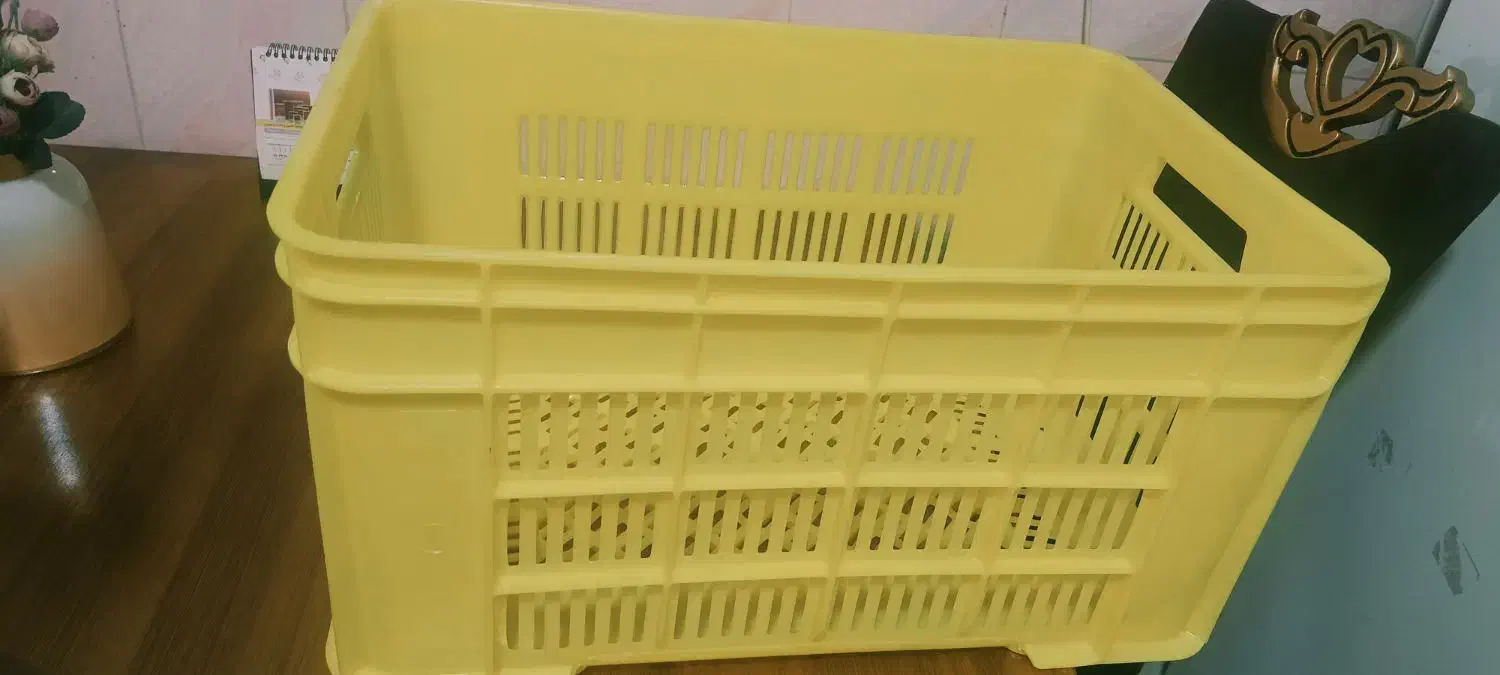 سبد|ظروف نگهدارنده، پلاستیکی، یک‌بارمصرف|قدس, شهر‌قدس|دیوار