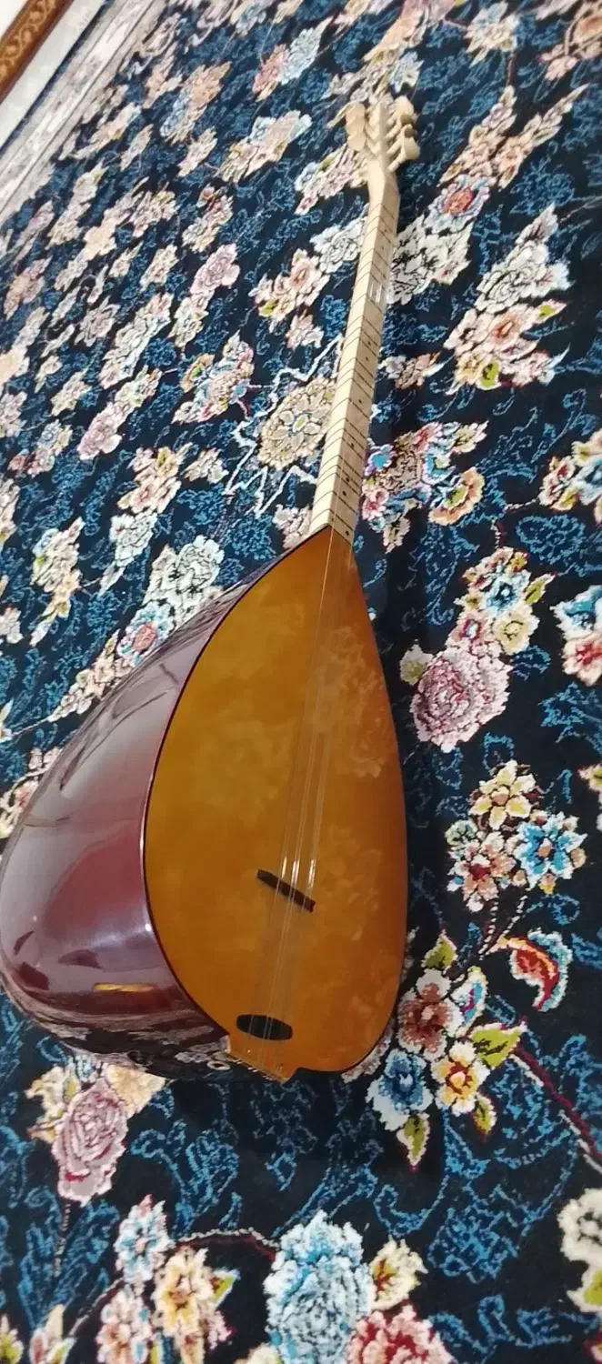 باغلاما مارک دیار|سازهای سنتی|بوکان, |دیوار
