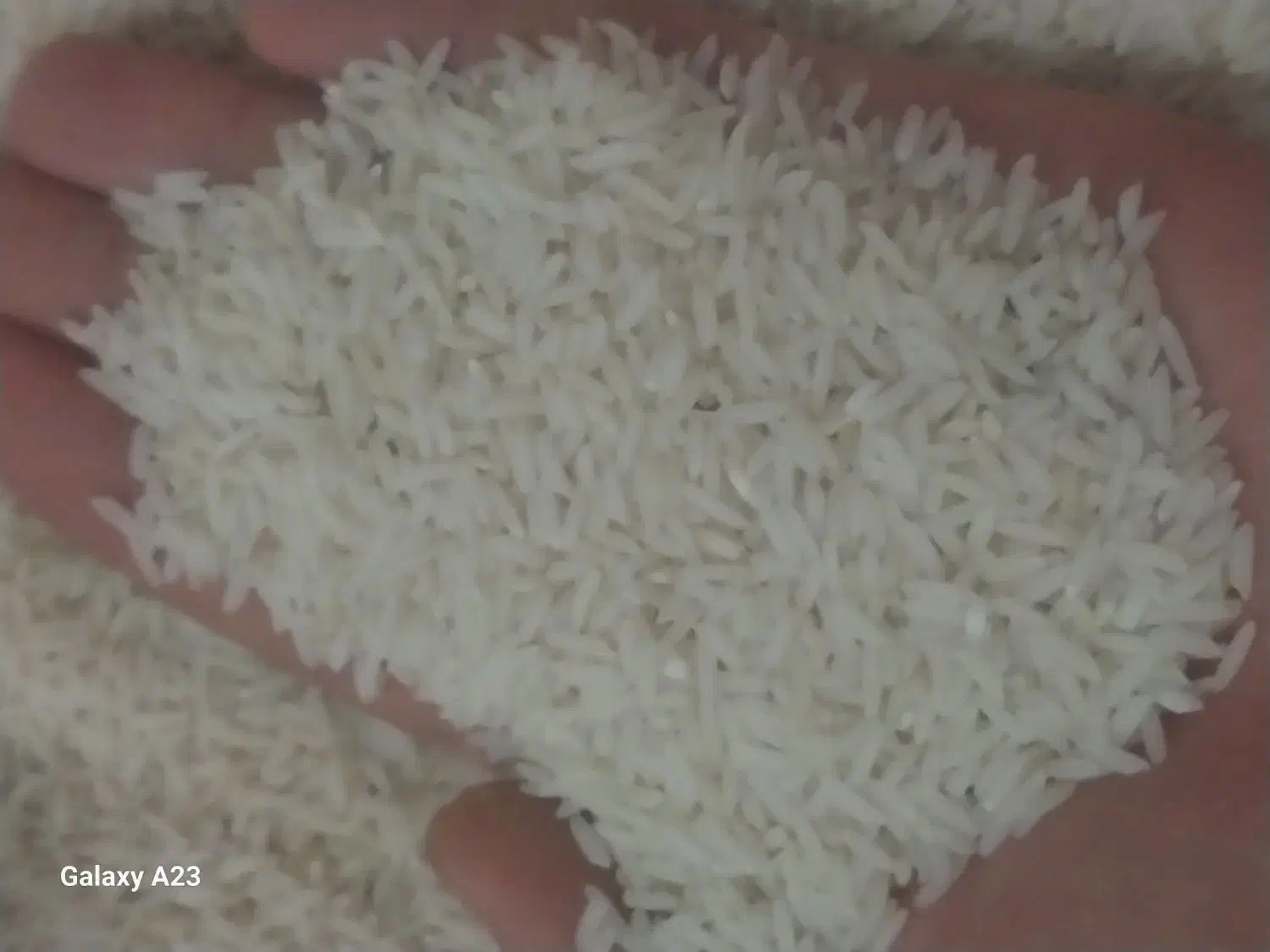 برنج هاشمی درجه ۱|خوردنی و آشامیدنی|رشت, یخسازی|دیوار