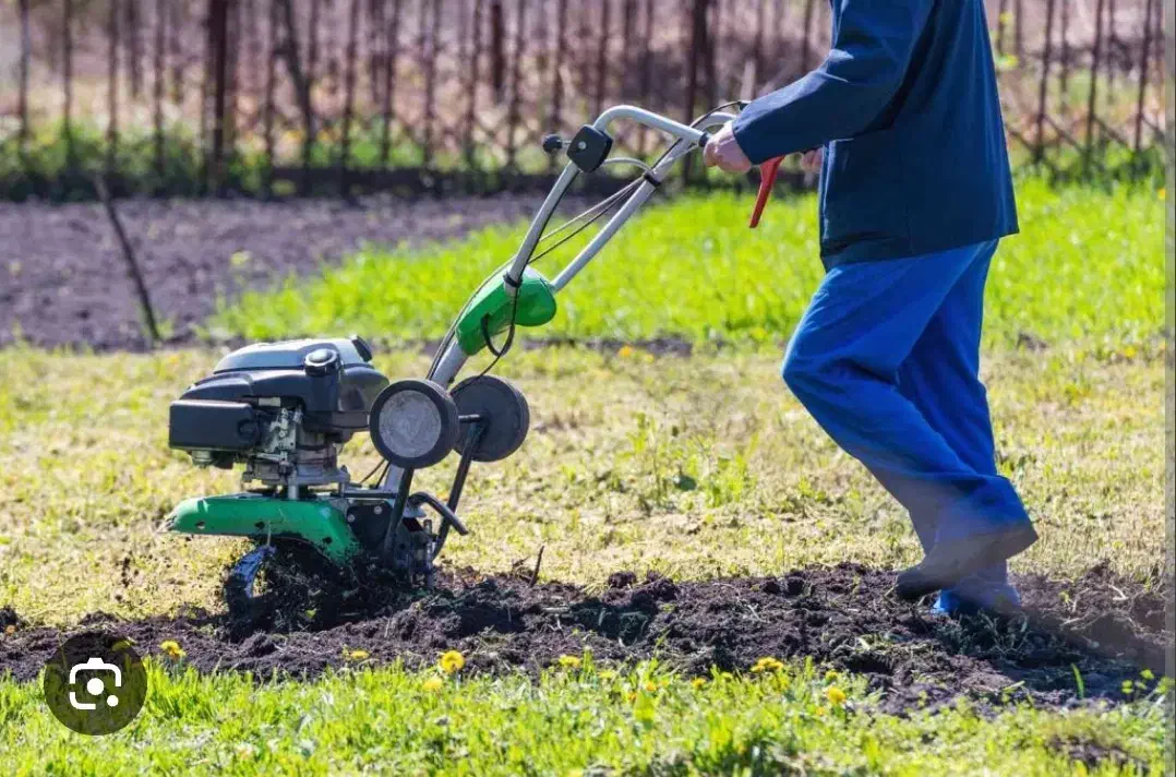 تیلر باغی اجاره ای میخوام|خدمات باغبانی و درختکاری|گرگان, |دیوار