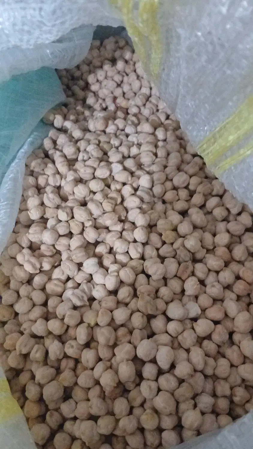 حبوبات ،کشمش پلویی، کره محلی (۳۰۰)|خوردنی و آشامیدنی|داراب, |دیوار