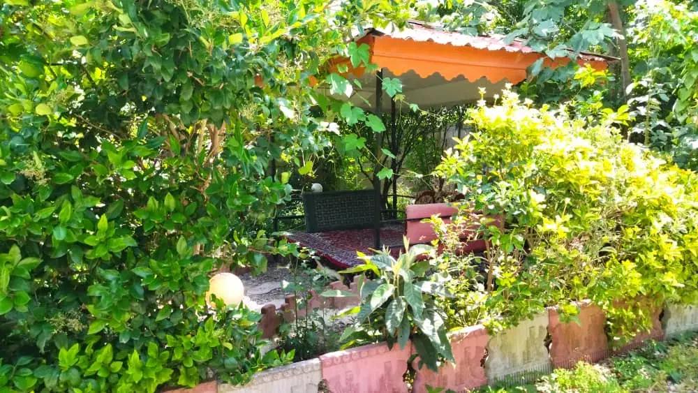 ویلا باغ استخردار درسا رامسر|اجارهٔ کوتاه‌مدت ویلا و باغ|رامسر, |دیوار