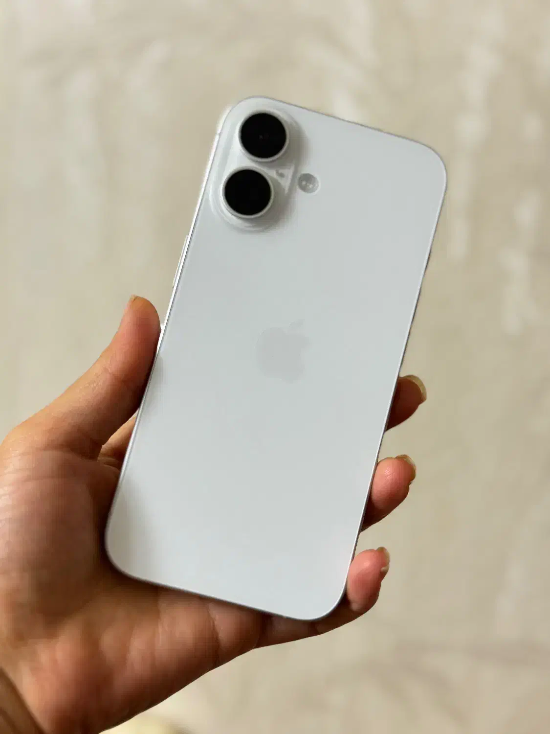 آیفون ۱۶نرمال|موبایل|ساری, |دیوار