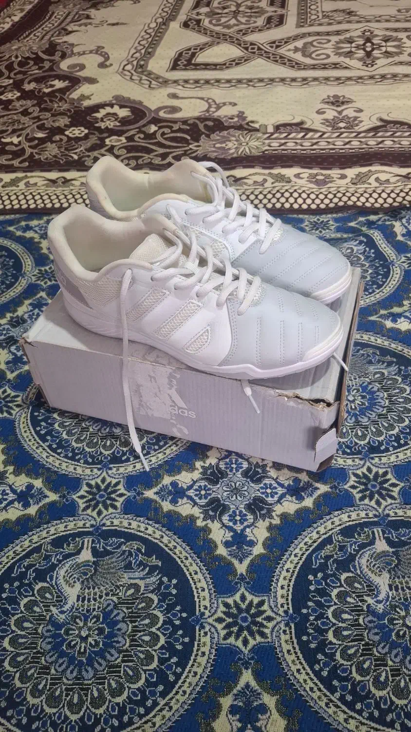 کفش فوتسال سایز۴۲|ورزش‌های توپی|اردبیل, |دیوار