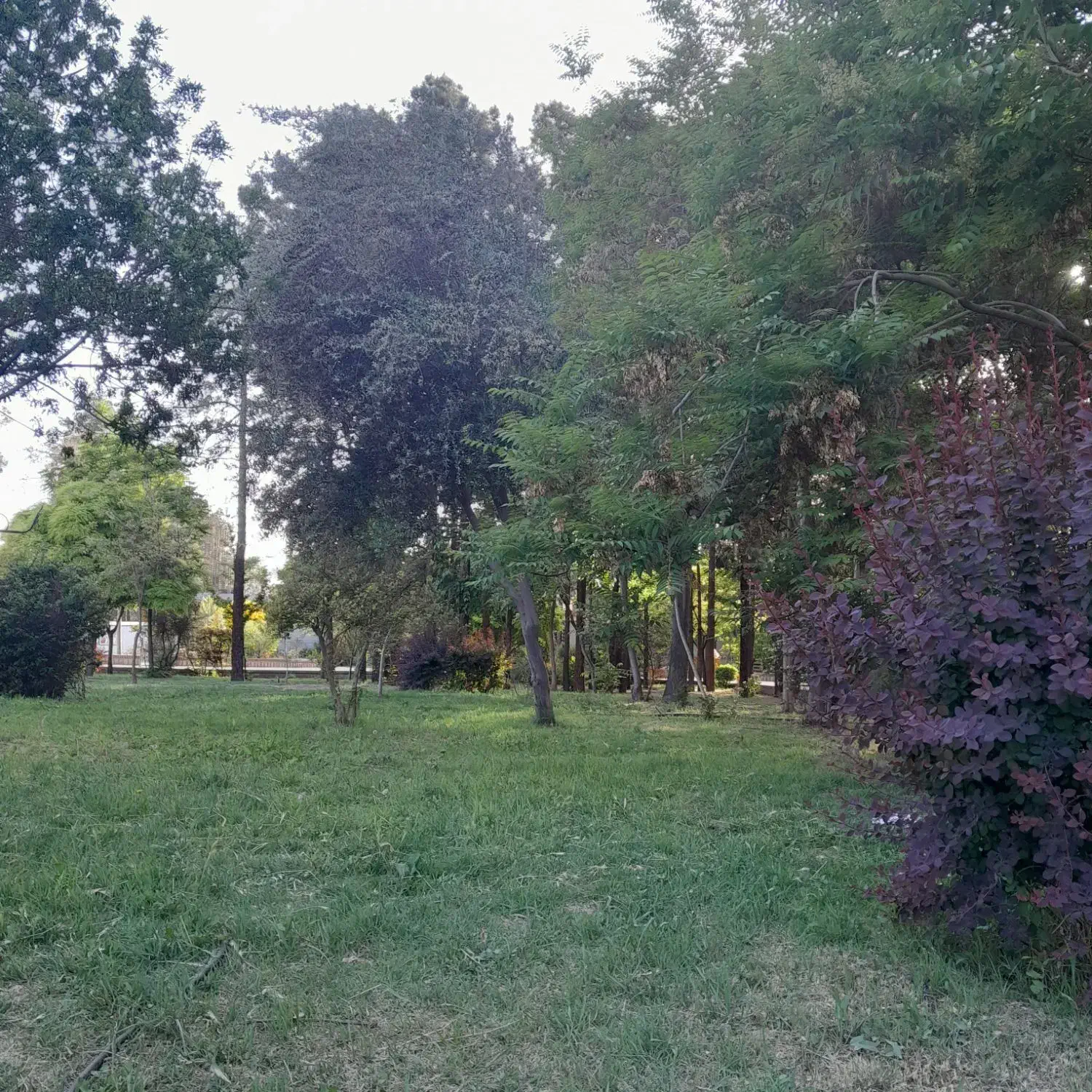 راهنمایی کنید|فعالیت داوطلبانه|کرمان, |دیوار