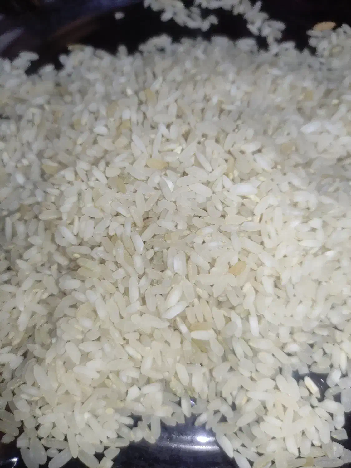 فروش تک و عمده برنج کامفیروزی اعلا با تخفیف|خوردنی و آشامیدنی|شیراز, طلاب|دیوار