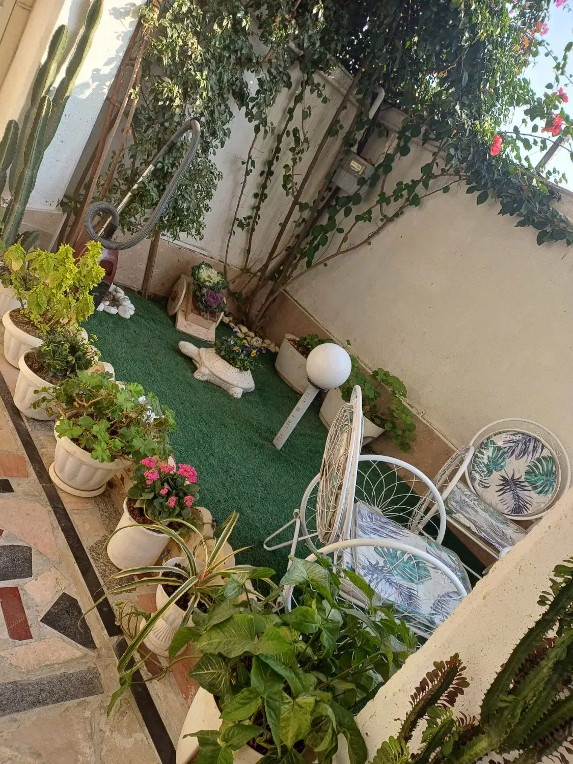 اجاره سوعییت|اجارهٔ کوتاه‌مدت آپارتمان و سوئیت|آمل, |دیوار