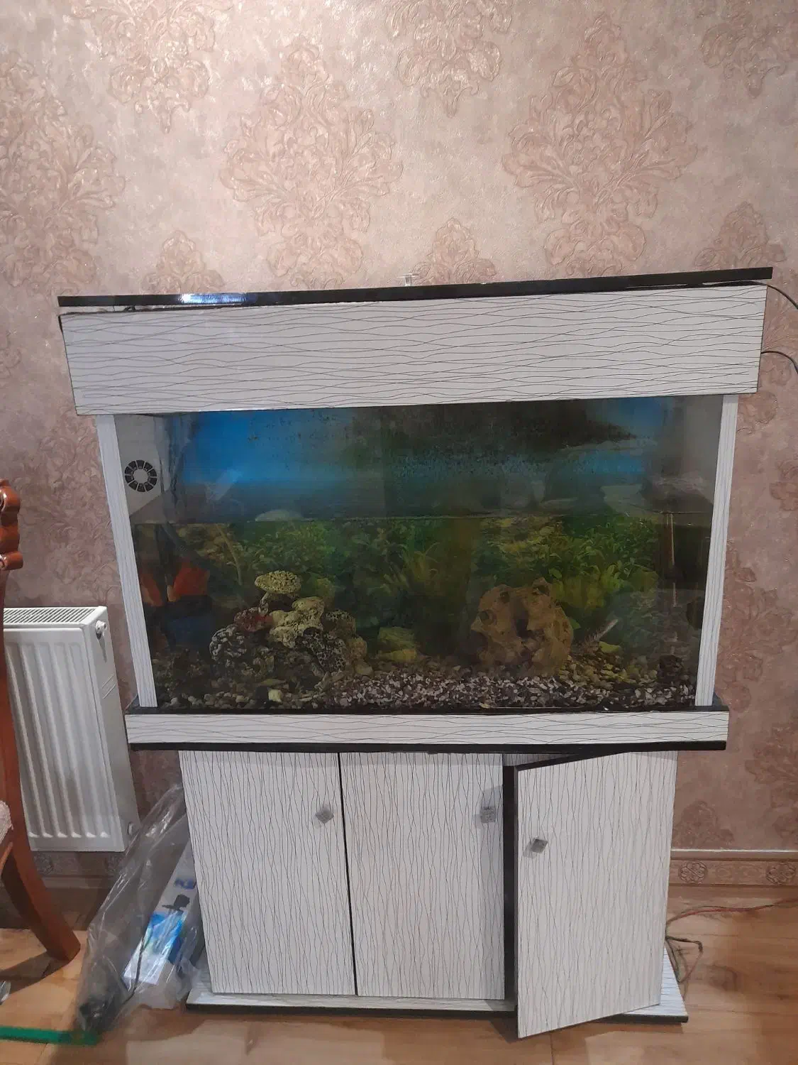 آکواریوم|ماهی|رباطکریم, حصار مهتر|دیوار