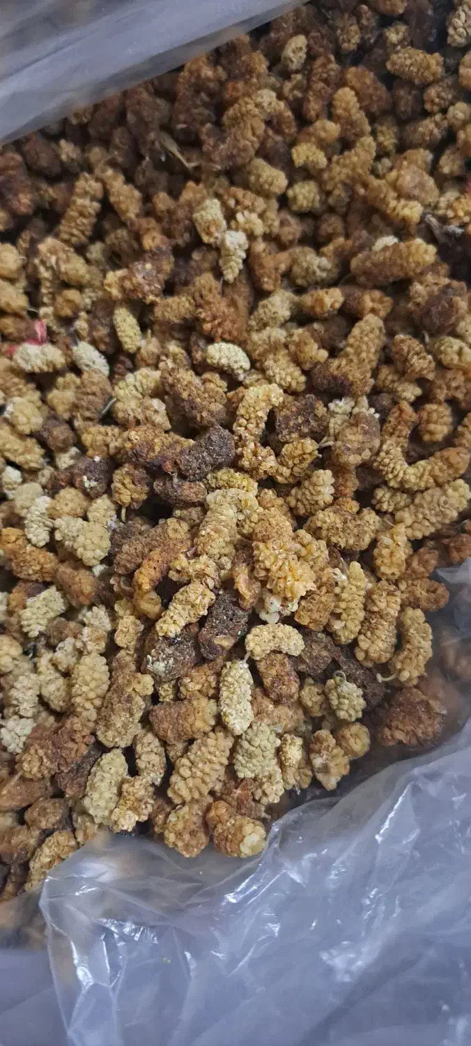 توت خشک محلی شیرین|خوردنی و آشامیدنی|چاراویماق, |دیوار