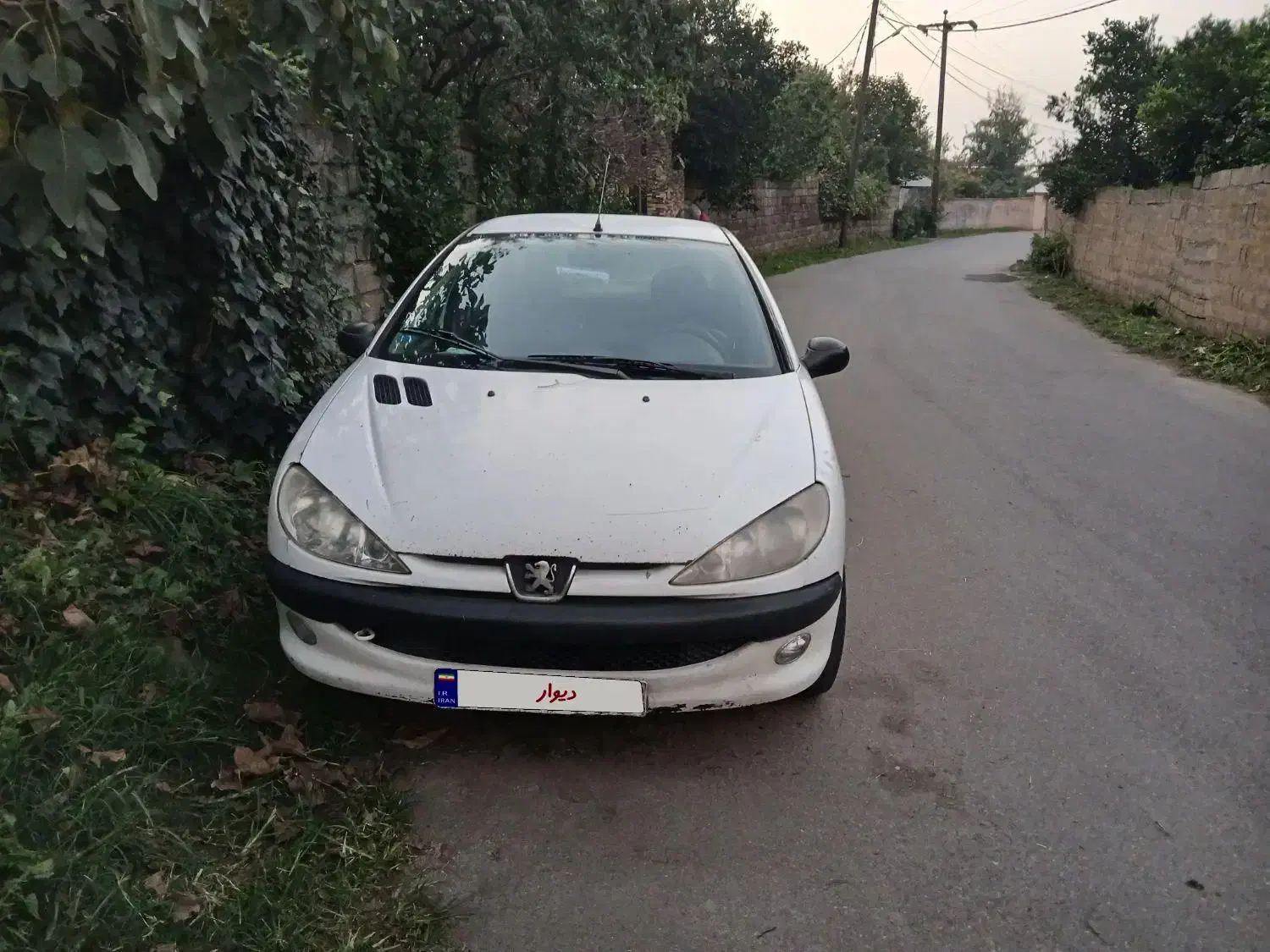 درودعرض ادب ۲۰۶sdv20موتورTU5|خودرو سواری و وانت|رودسر, |دیوار