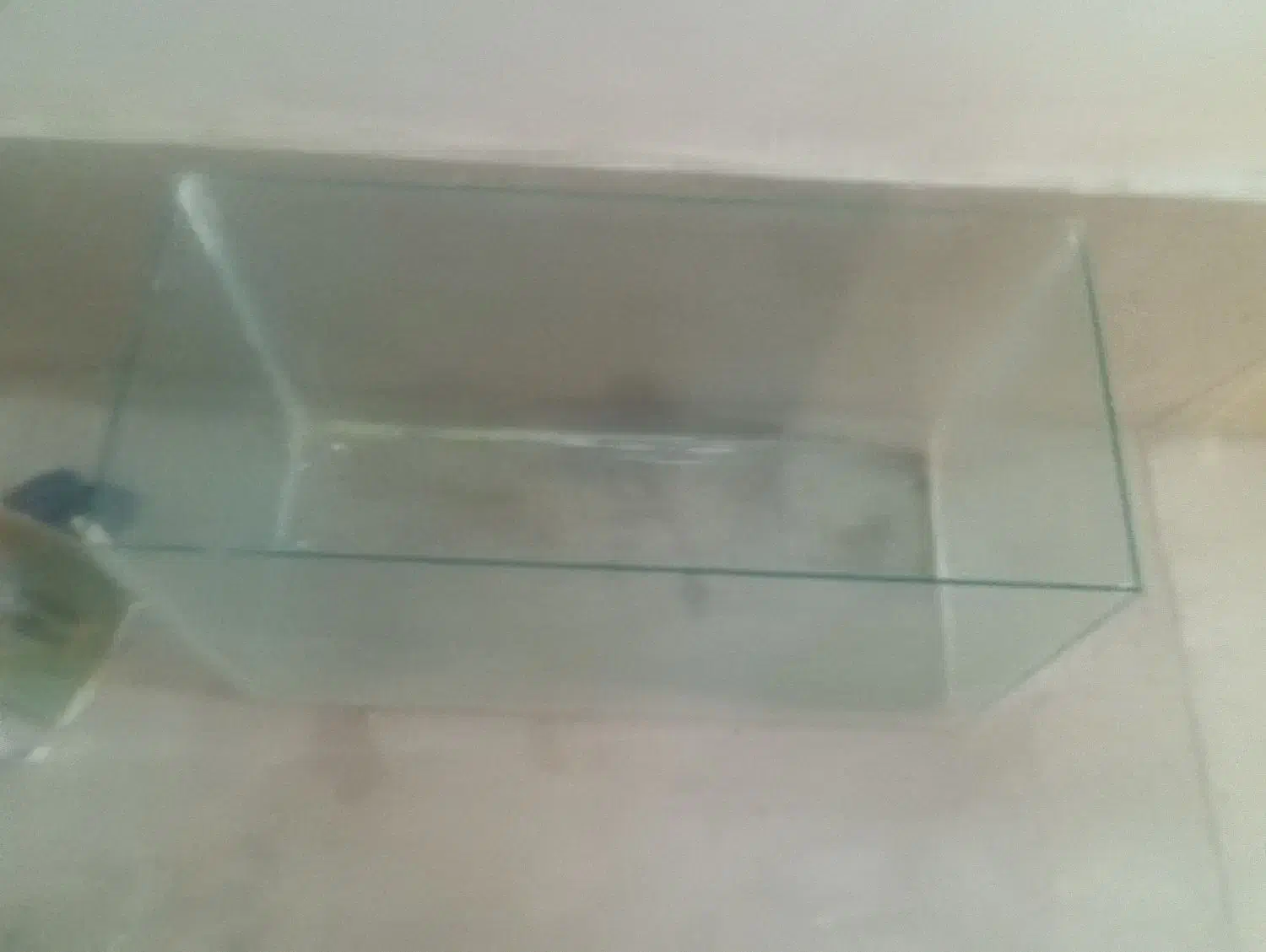 آکواریوم 300 تومن|ماهی|پیشوا, |دیوار