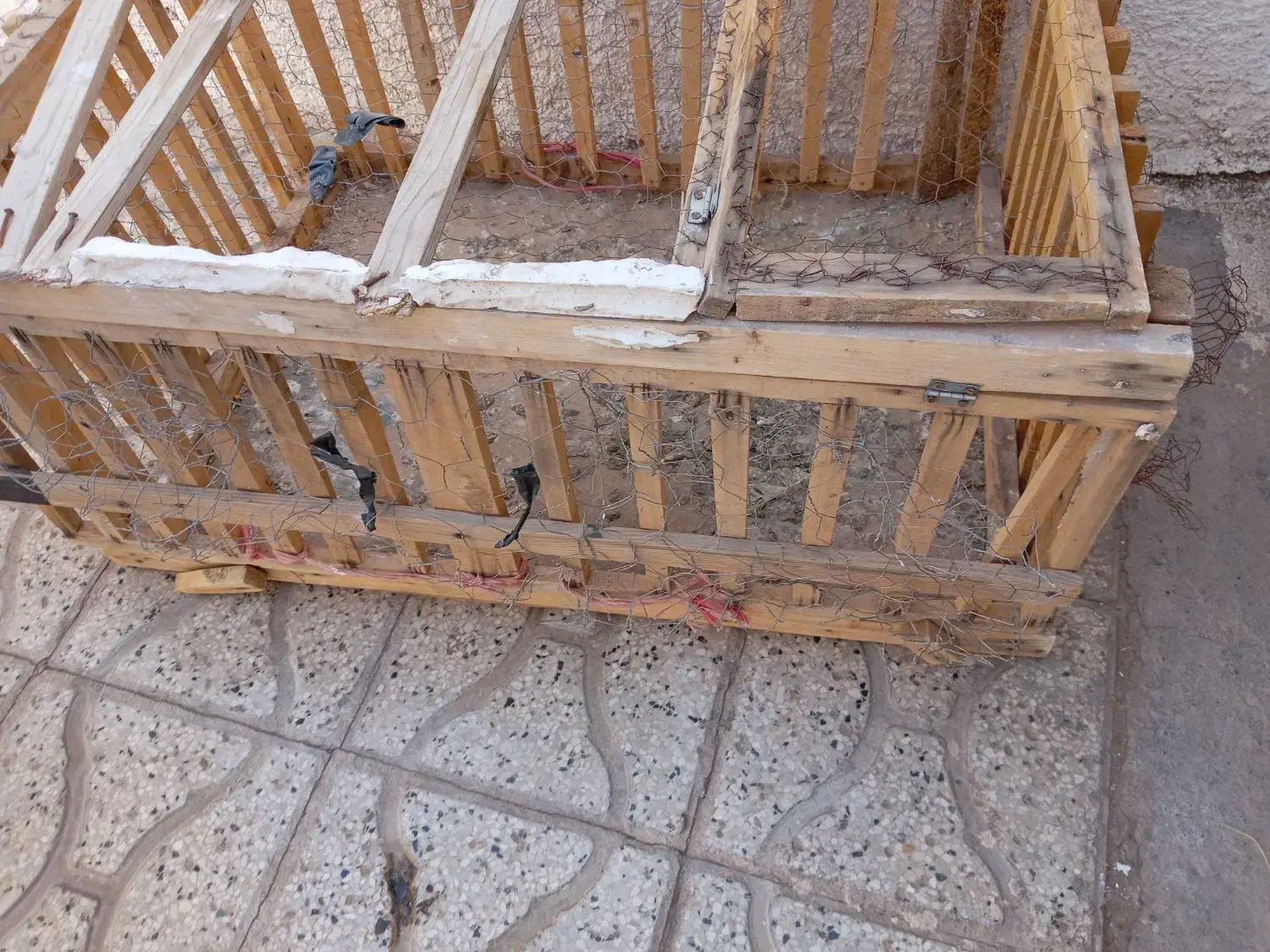 عاقول|پرنده|تربت جام, کشتارگاه|دیوار