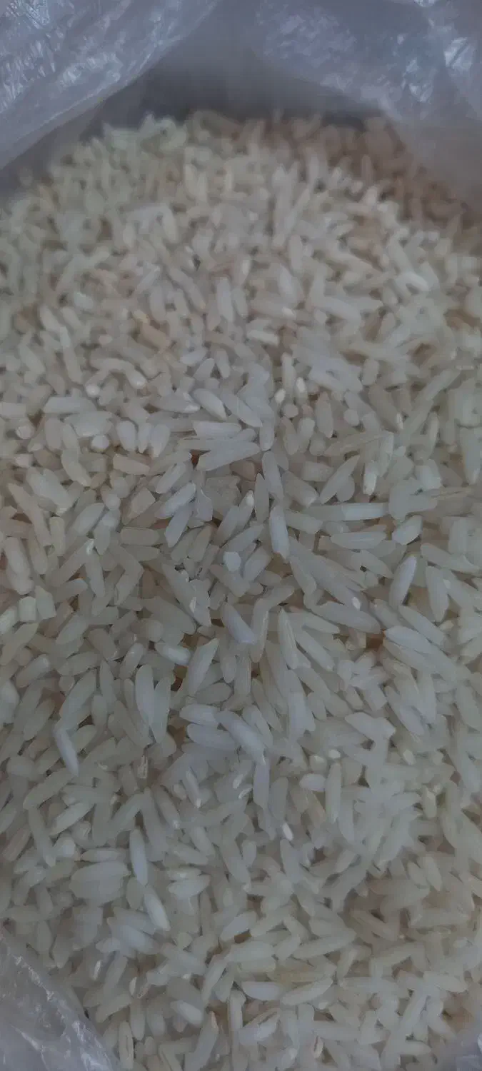 لاشه و نیم دانه برنج هاشمی سورتینگ زده|خوردنی و آشامیدنی|بندر انزلی, طالب آباد|دیوار